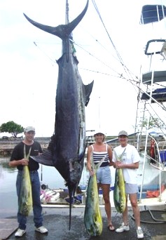 2003_bluemarlin